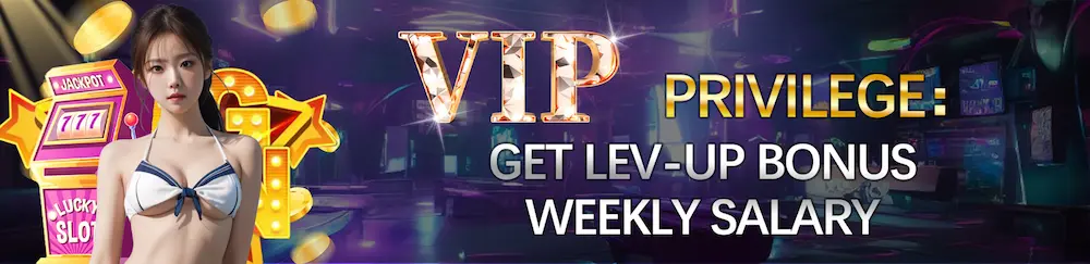 win2max-vip privilege-2