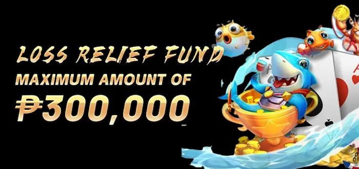 VSWIN Loss Relief Maximum Amount of ₱300,000